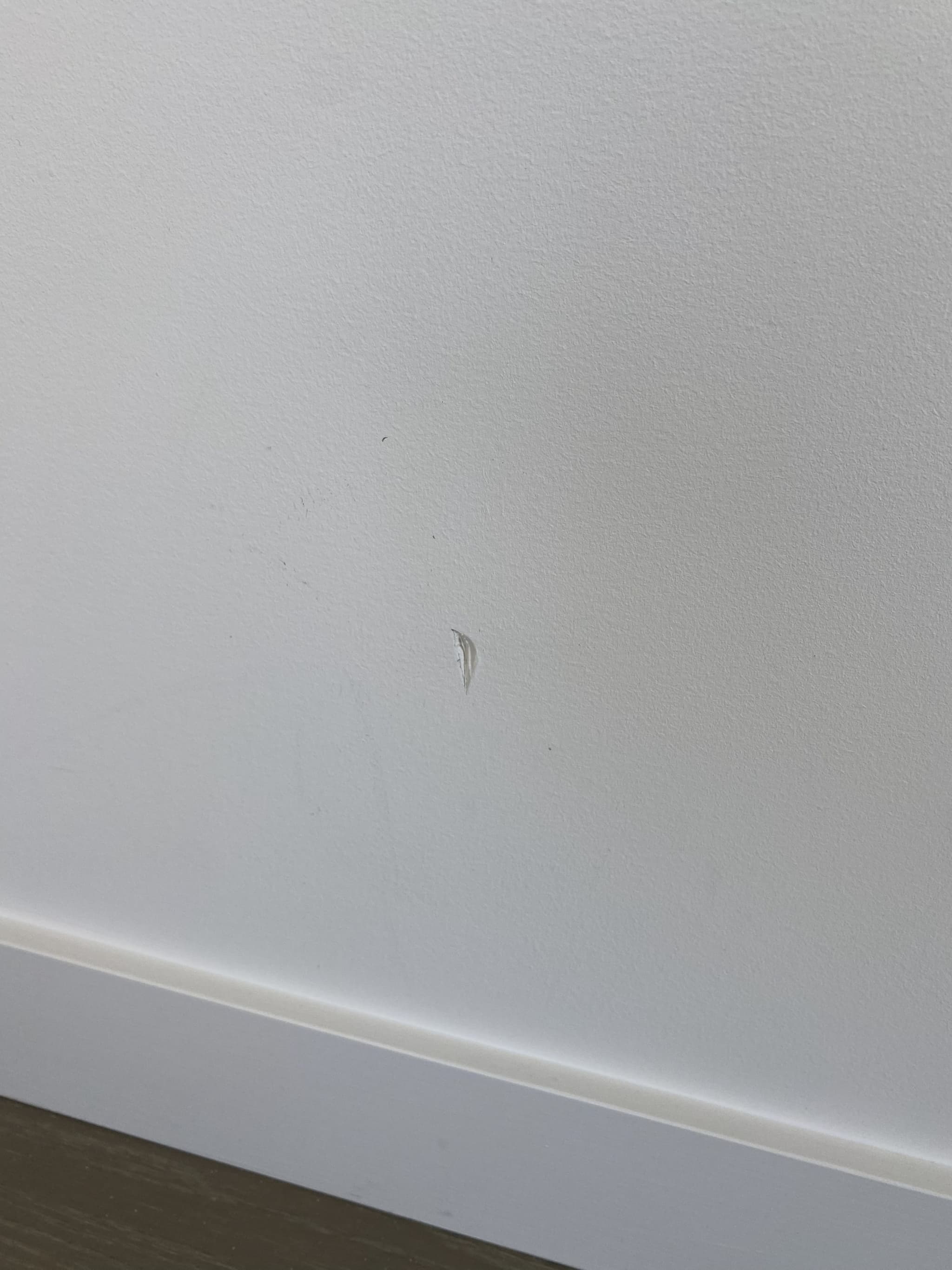 Home, Southbank — before photo 3