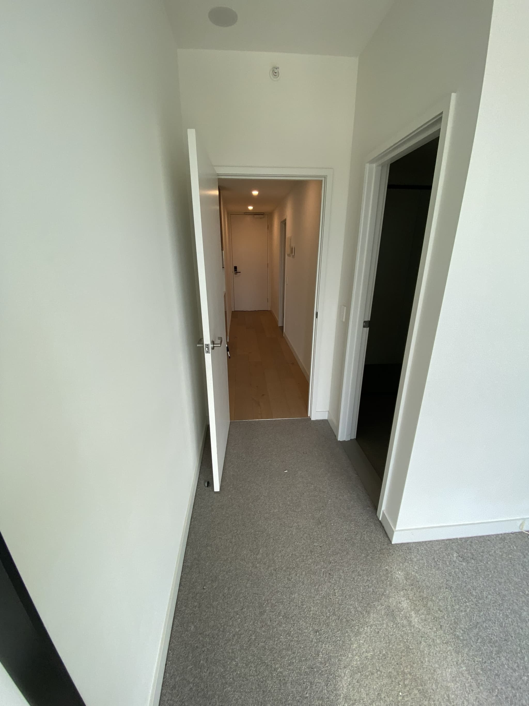 Home, Southbank — after photo 7