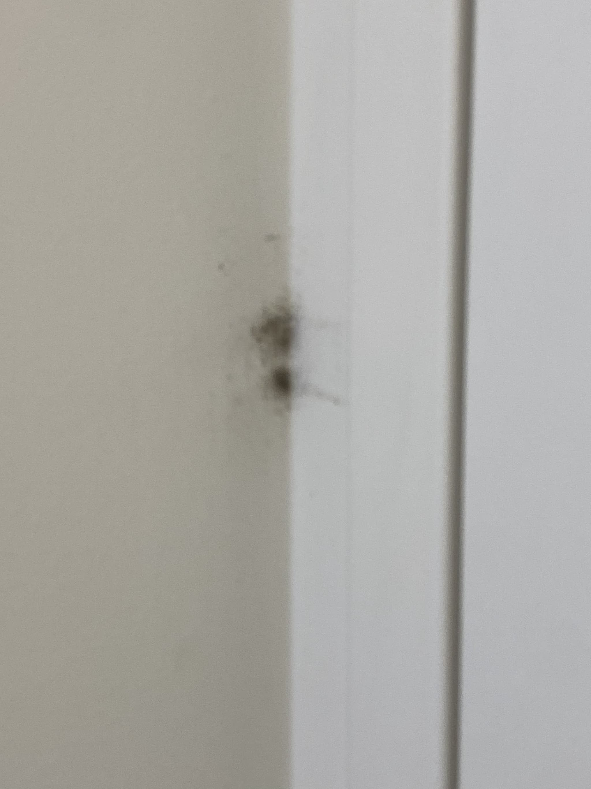 Home, Southbank — before photo 1