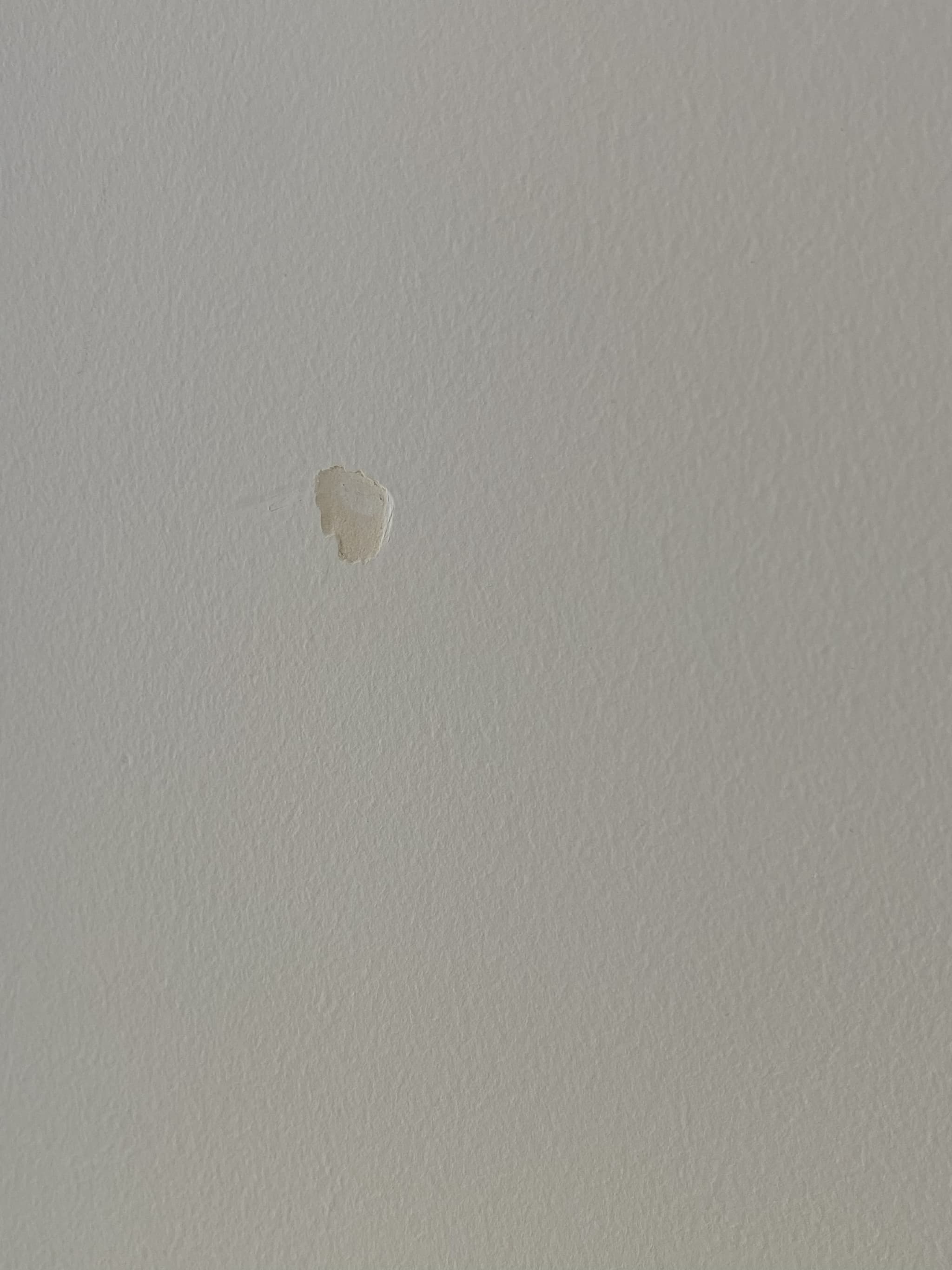 Home, Southbank — before photo 2