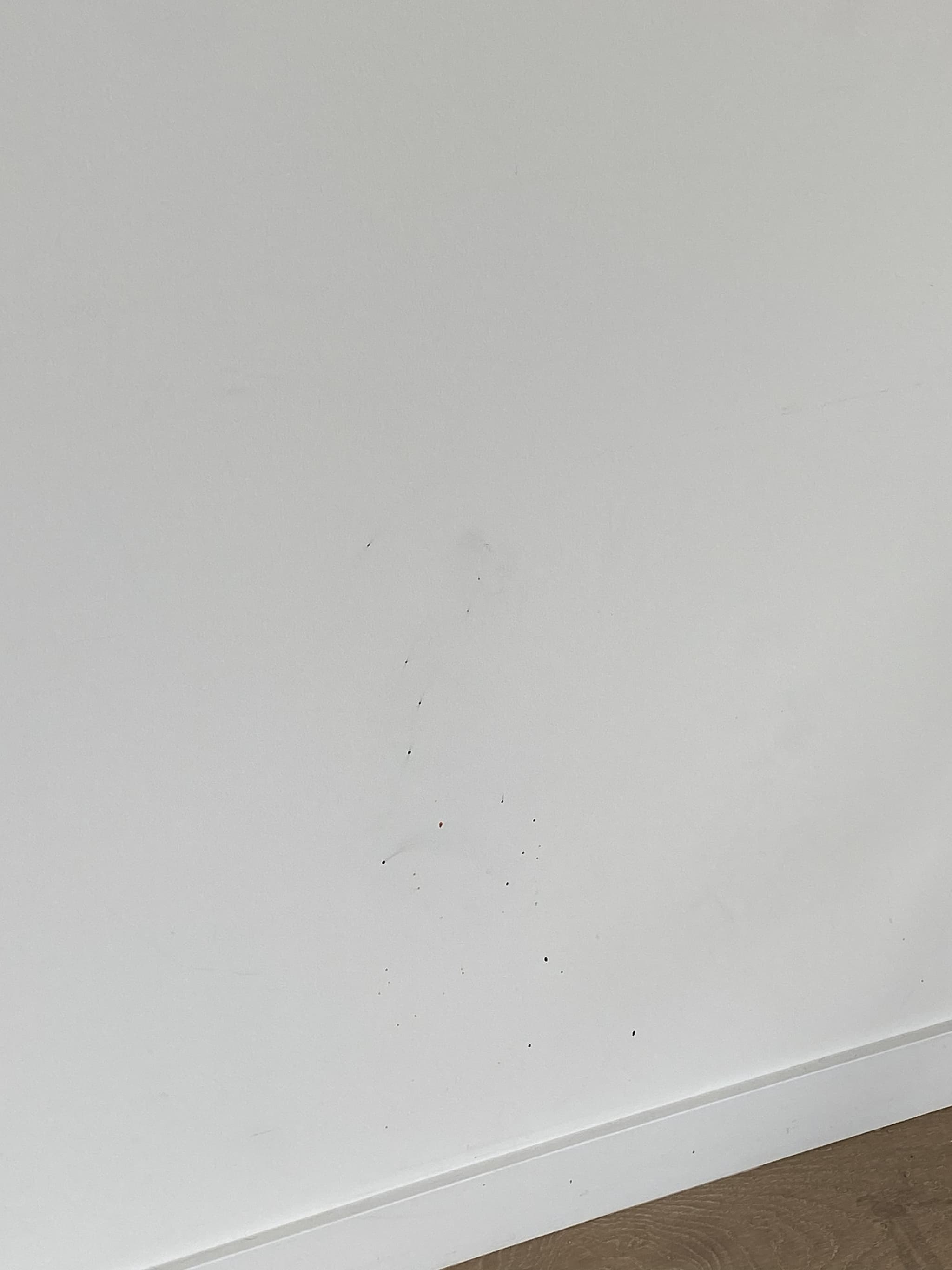 Home, Southbank — before photo 3