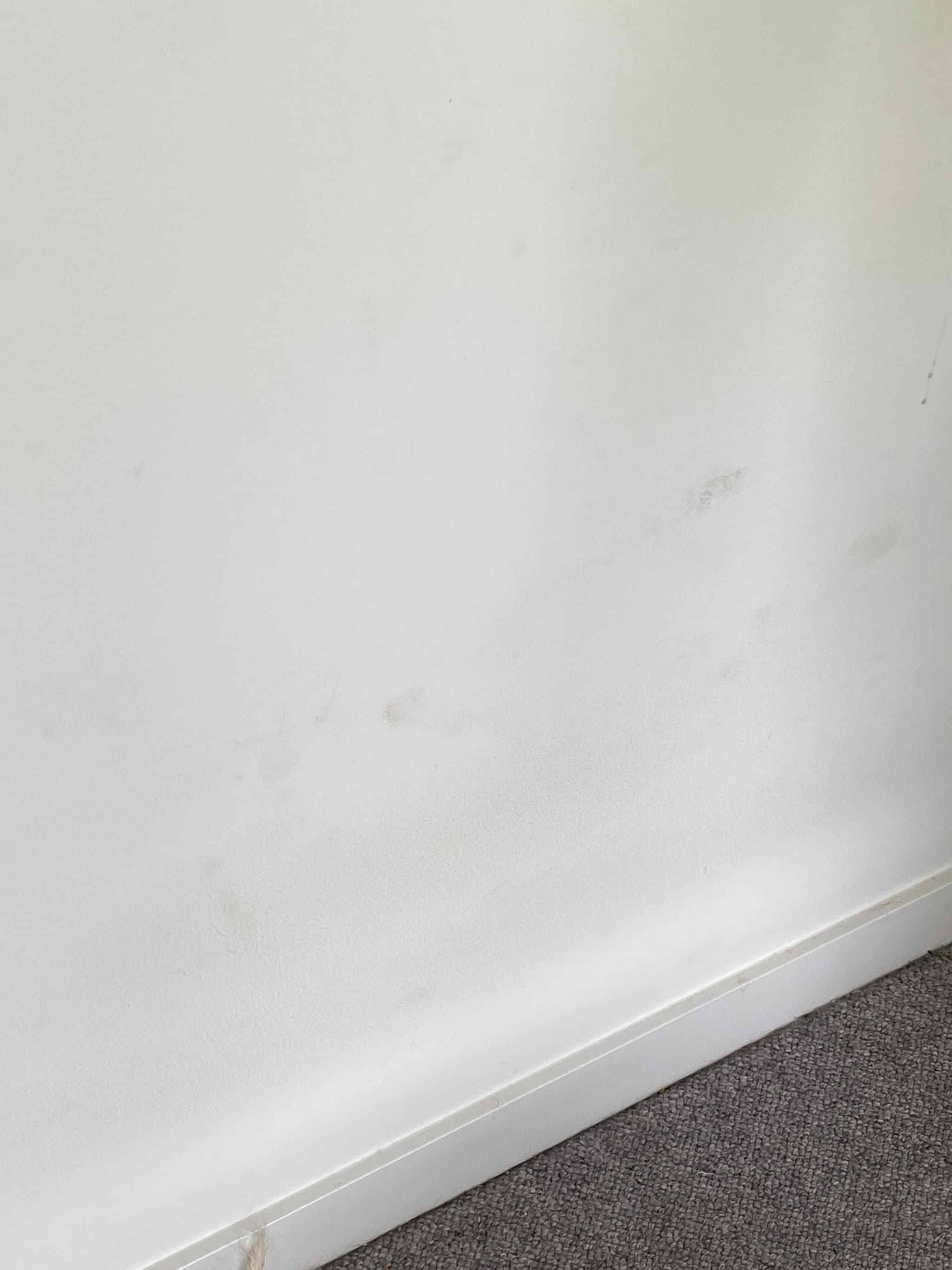 Home, Southbank — before photo 5