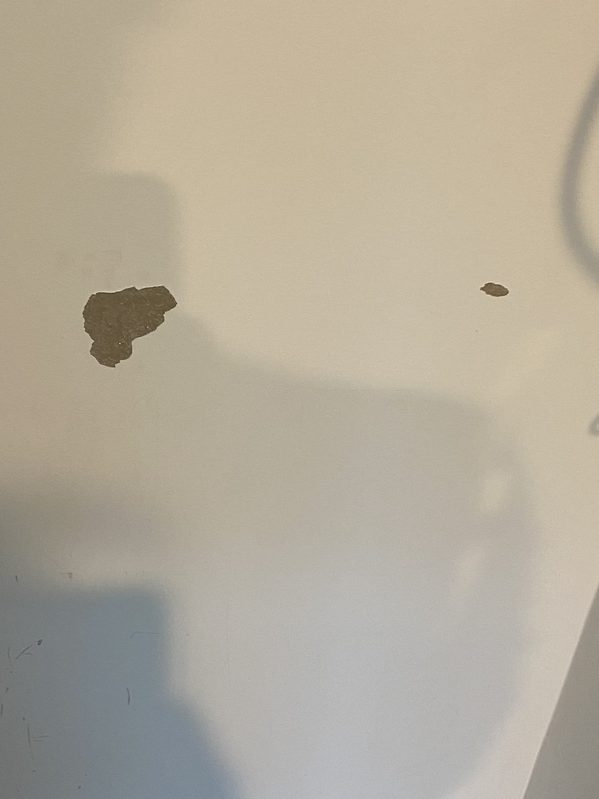 Home, Southbank — before photo 7
