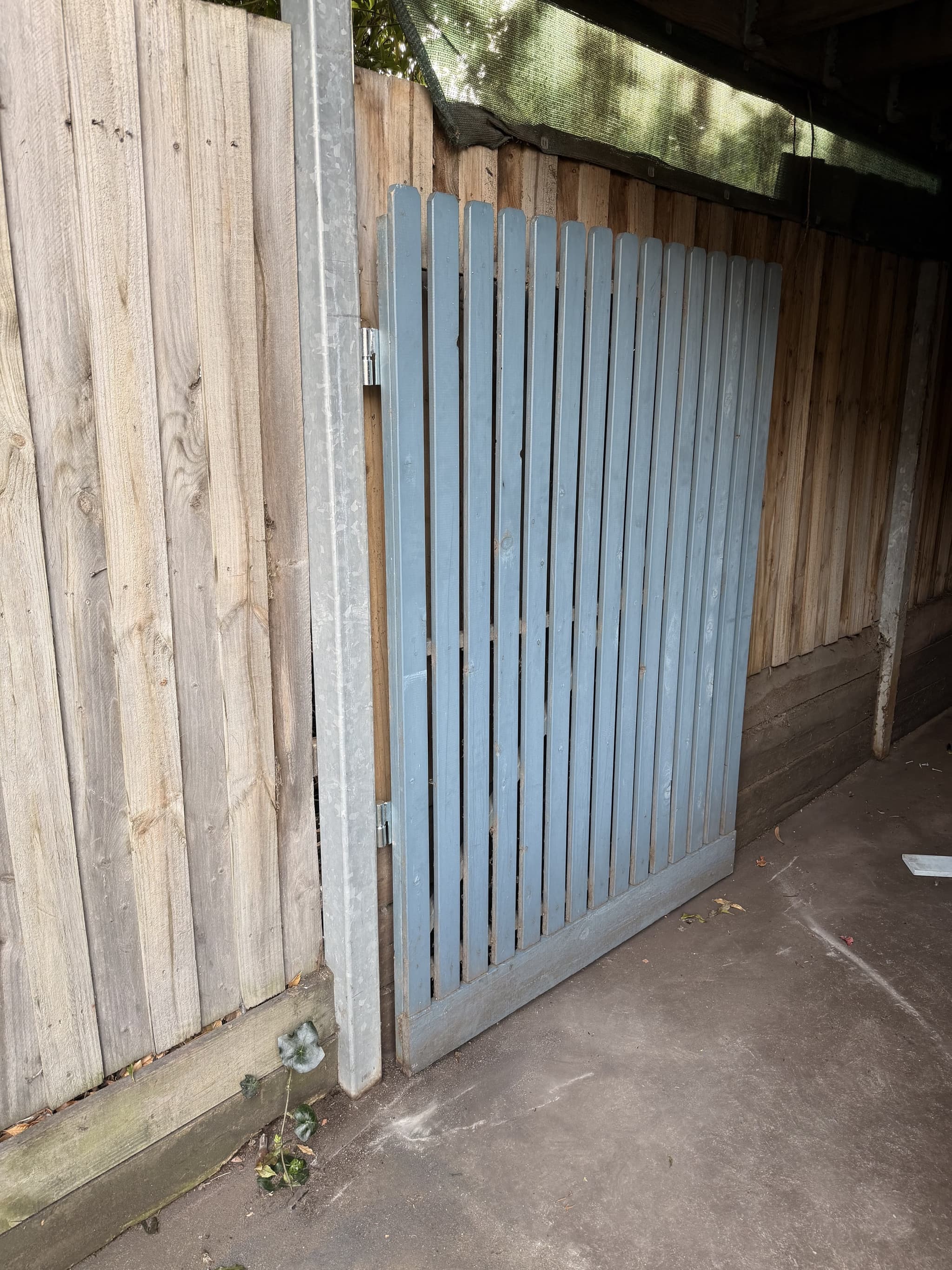 Alma Rd, St Kilda East — after photo 4