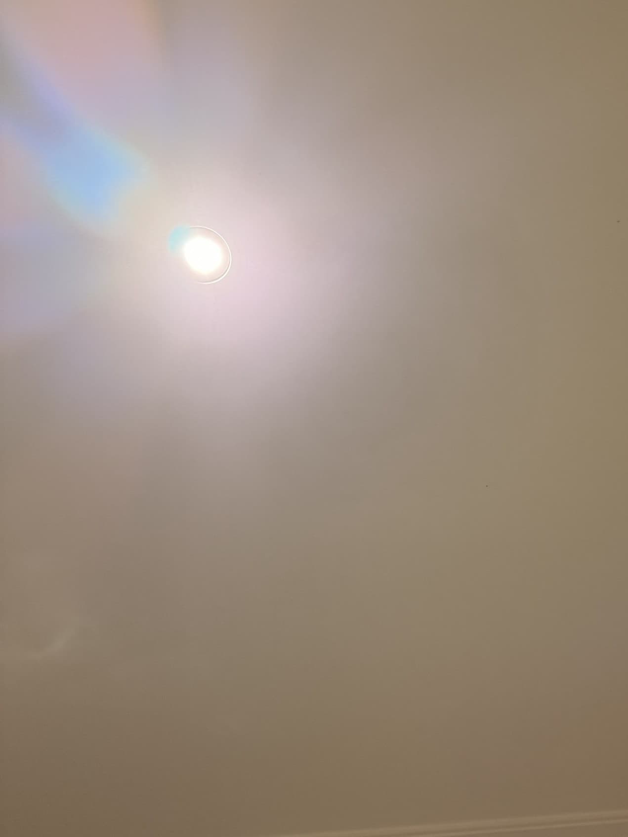 Darius Tce, South Morang — after photo 1