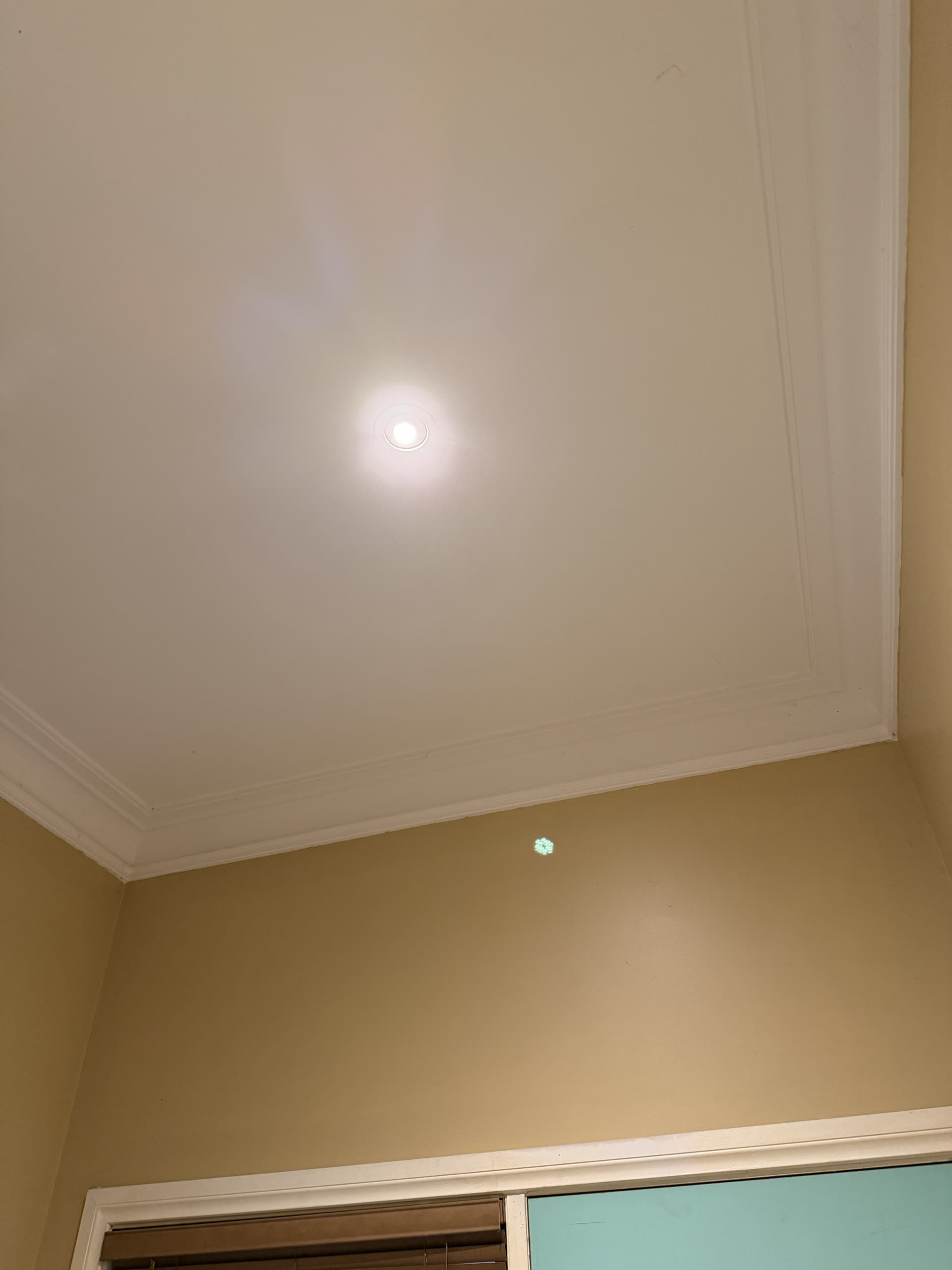 Darius Tce, South Morang — after photo 2