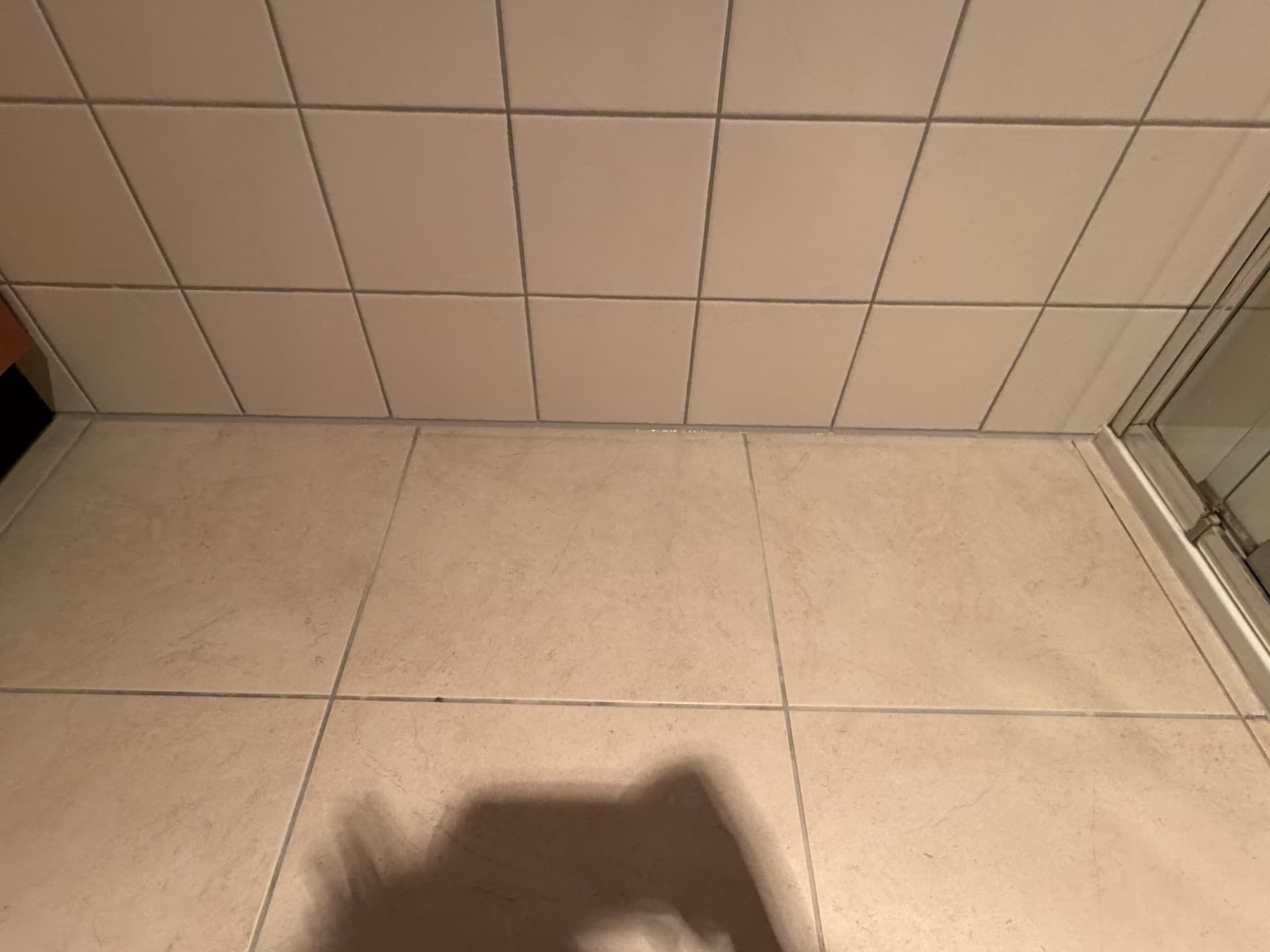 Darius Tce, South Morang — after photo 9