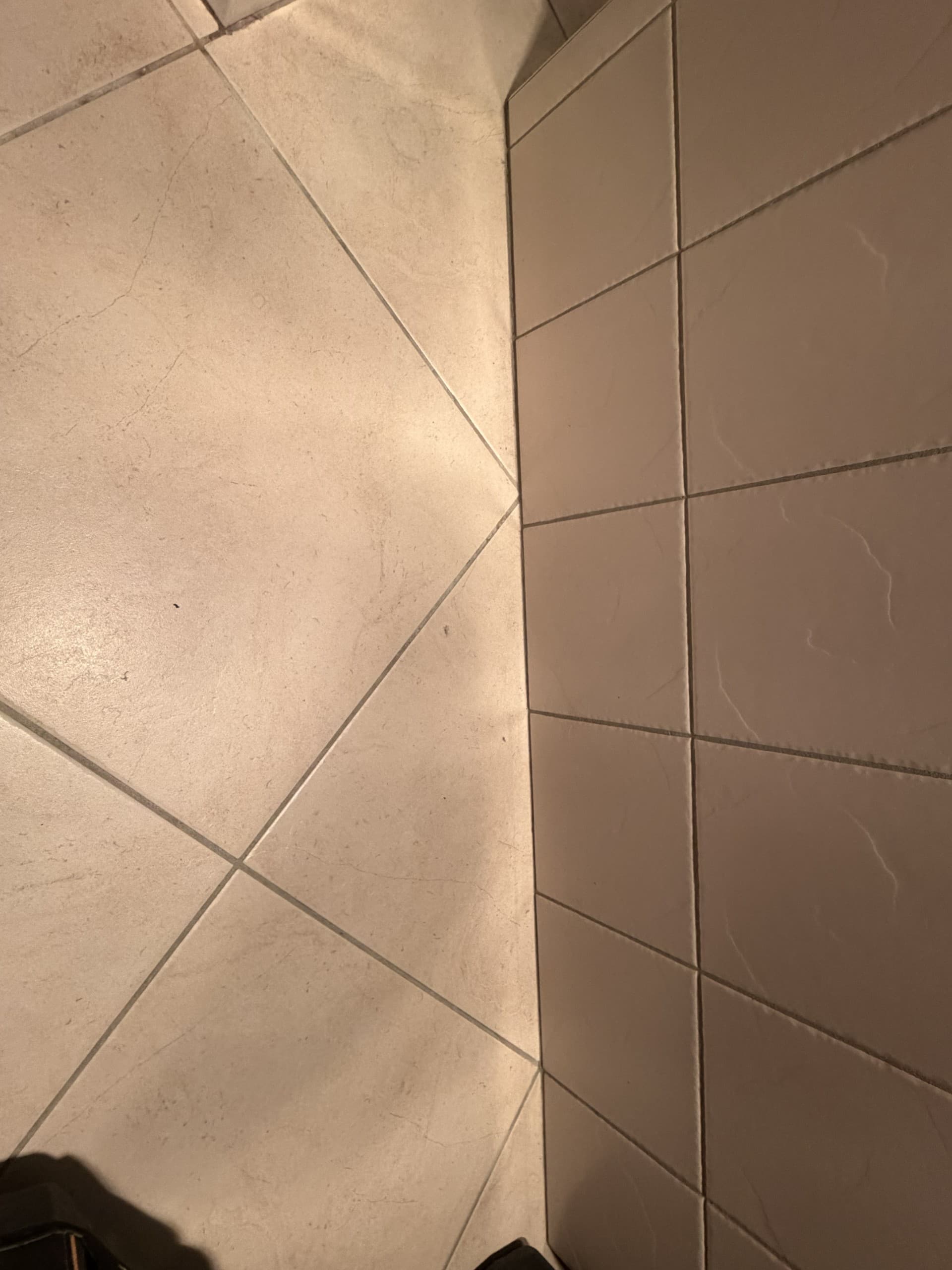 Darius Tce, South Morang — before photo 5