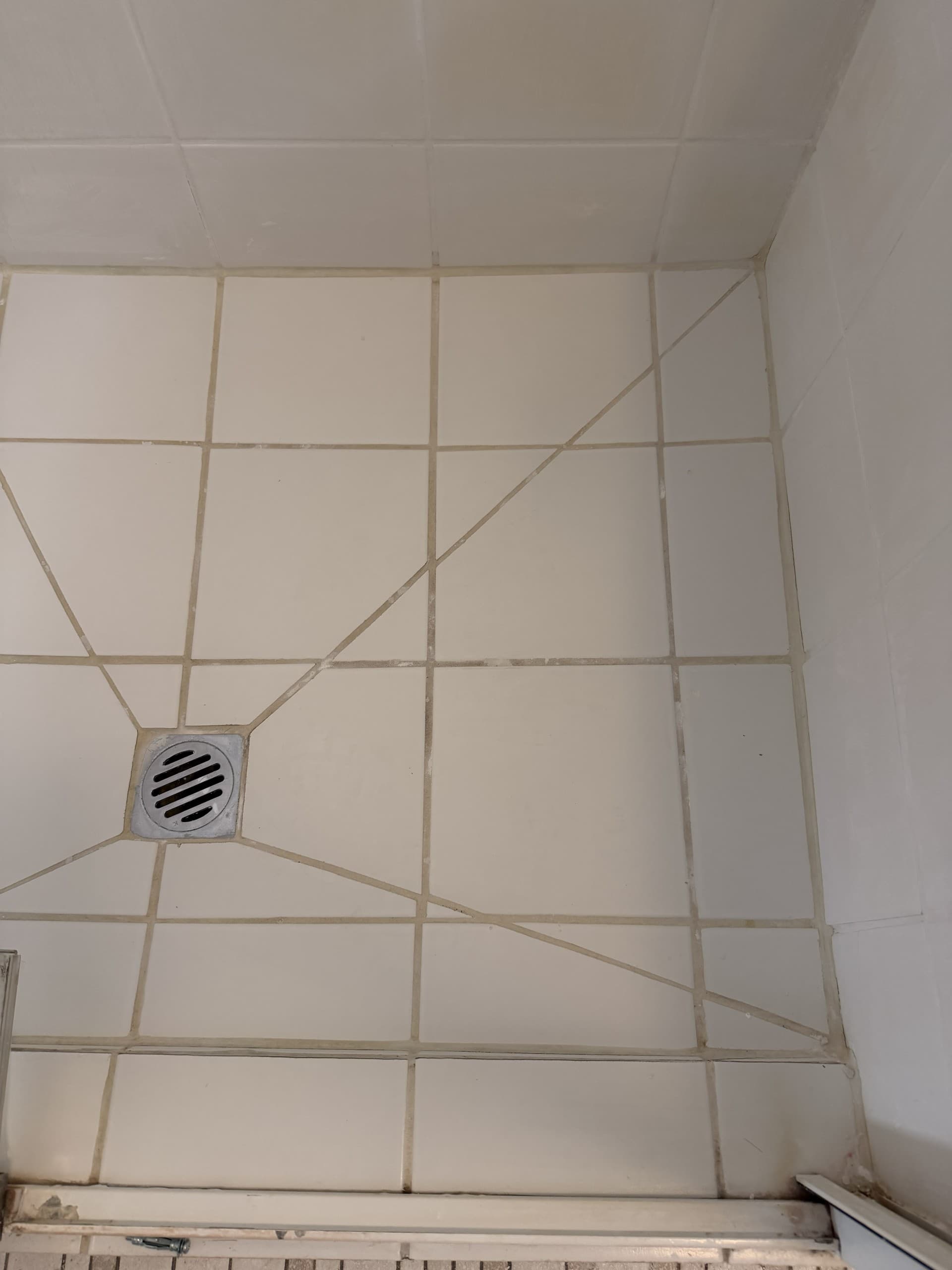 Oriel Rd, Ivanhoe — before photo 10