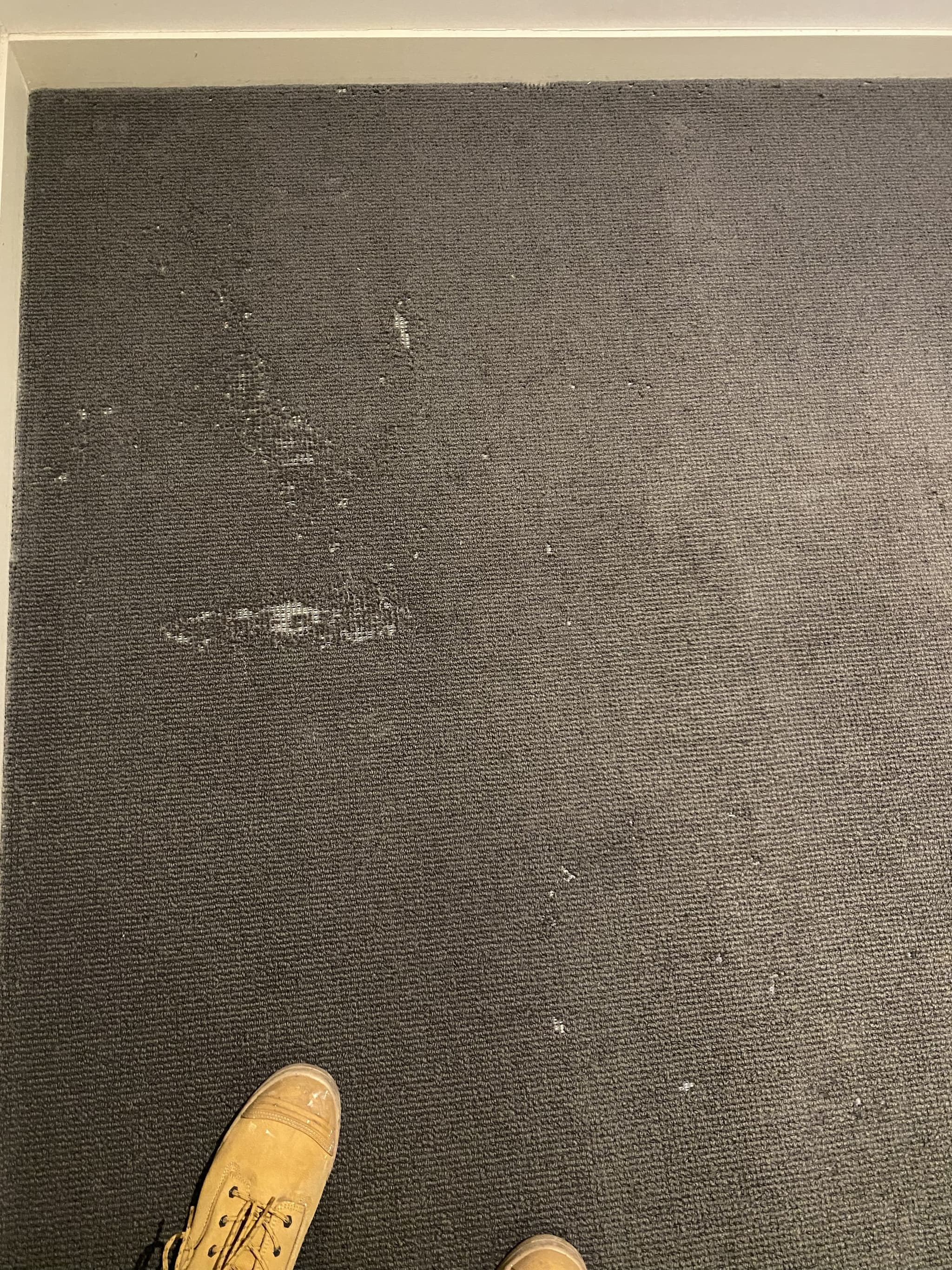 Victoria St, Abbotsford — before photo 8