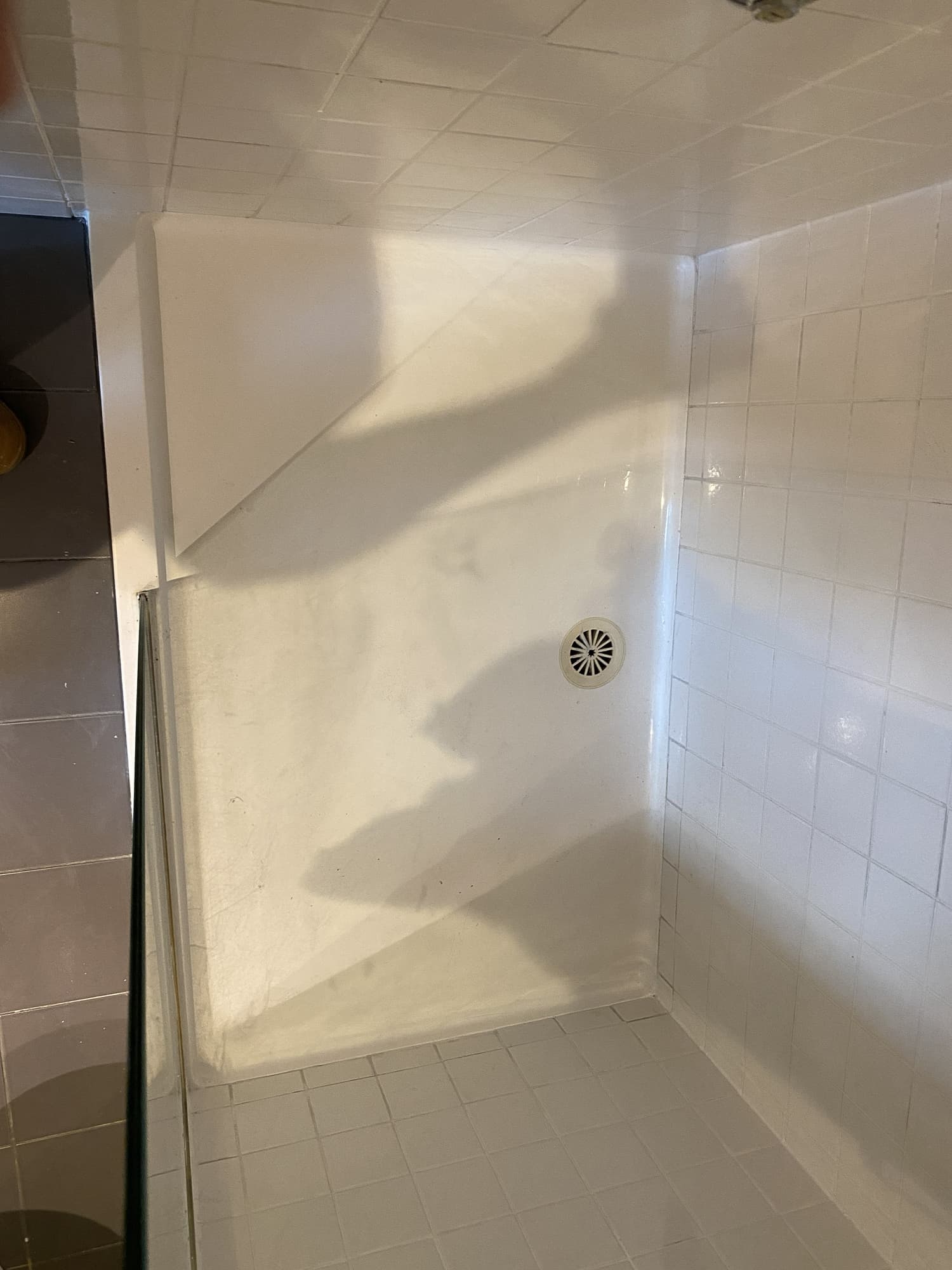 Wellington Pde, East Melbourne — after photo 4